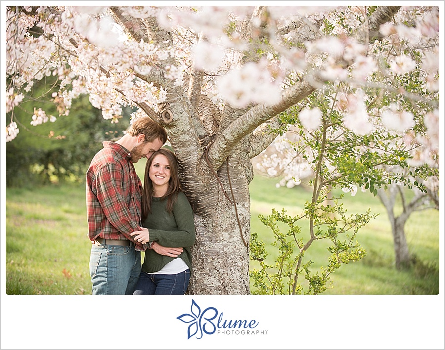 GA,Madison,engagement,farm,spring,