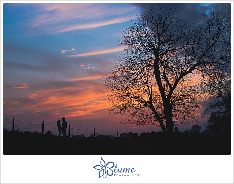 GA,Madison,engagement,farm,spring,