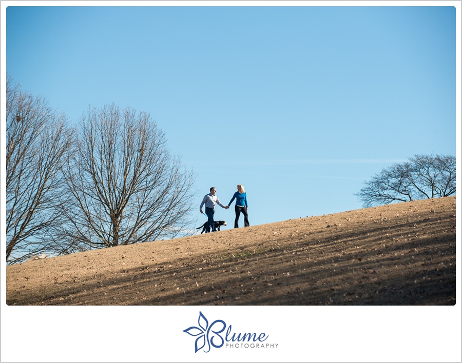 Atlanta,Piedmont Park,engagement,