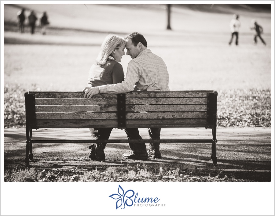 Atlanta,Piedmont Park,engagement,