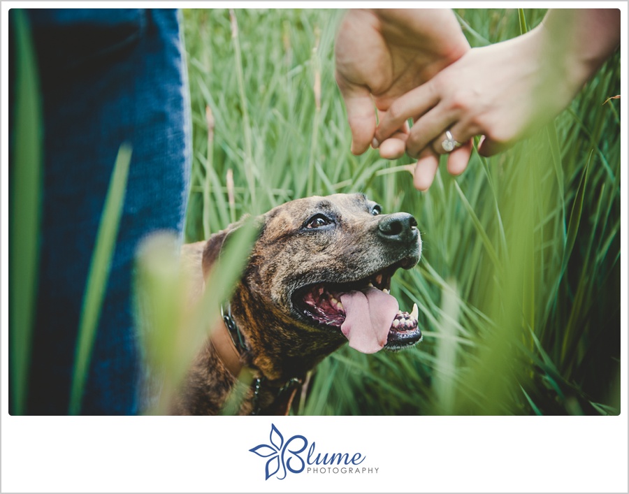 Atlanta,GA,Piedmont Park,engagement,engagement photography,engagement portraits,spring,