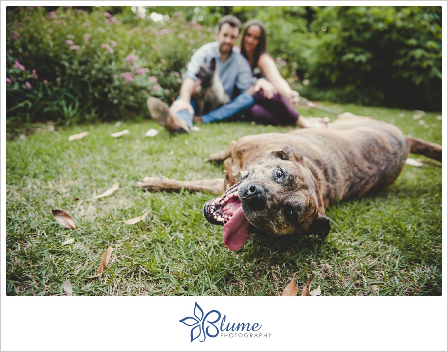 Atlanta,GA,Piedmont Park,engagement,engagement photography,engagement portraits,spring,