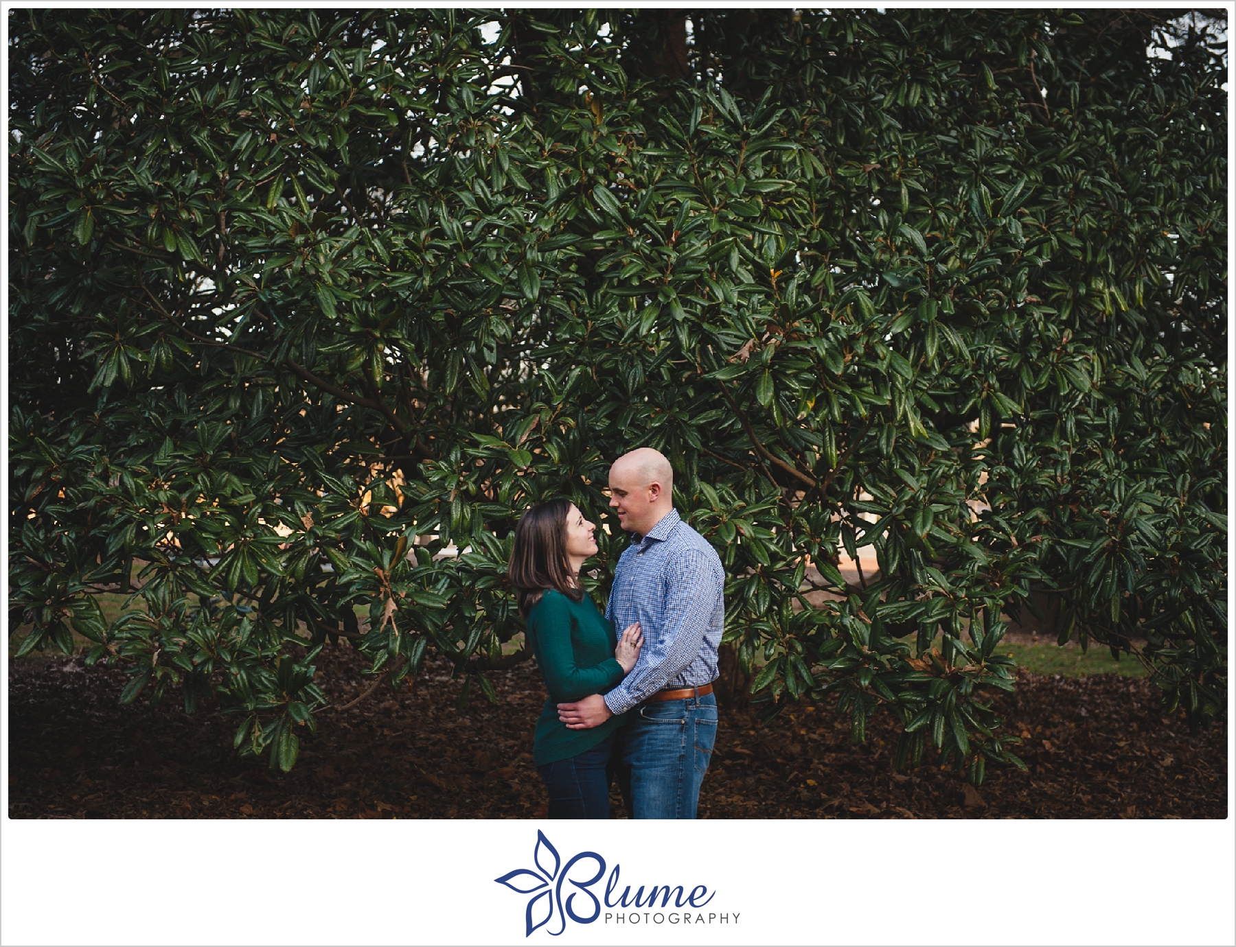 Atlanta,Piedmont Park,engagement,winter,