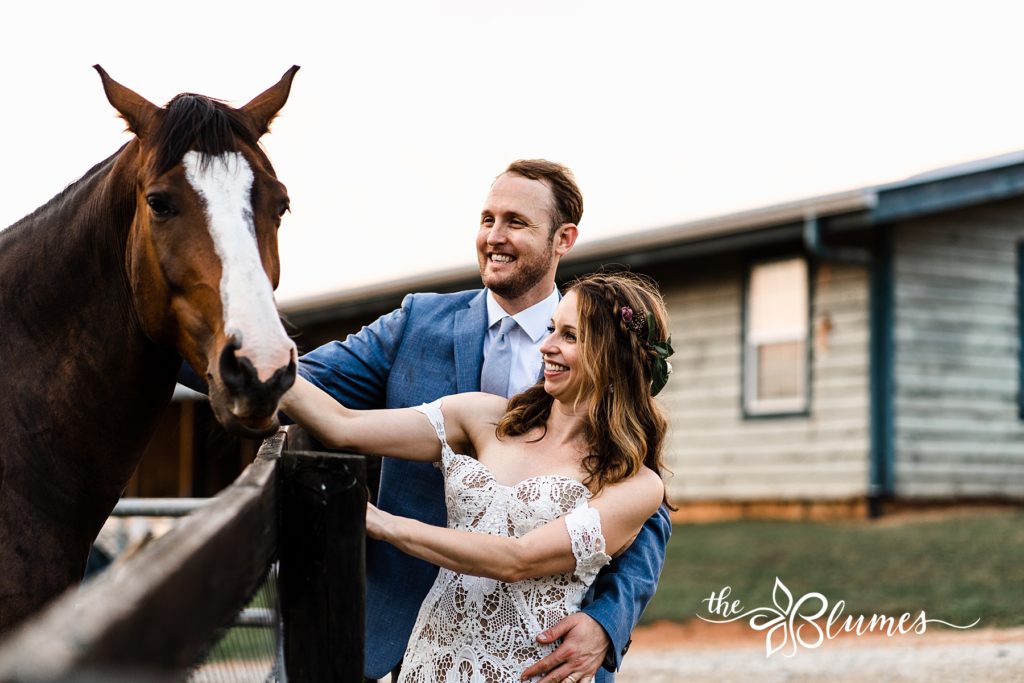 Steph and Chris pet a horse at their wedding planned by Jackson & June events